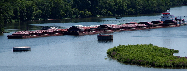 [Four lengths of covered barges with a tug behind them come toward the camera.]